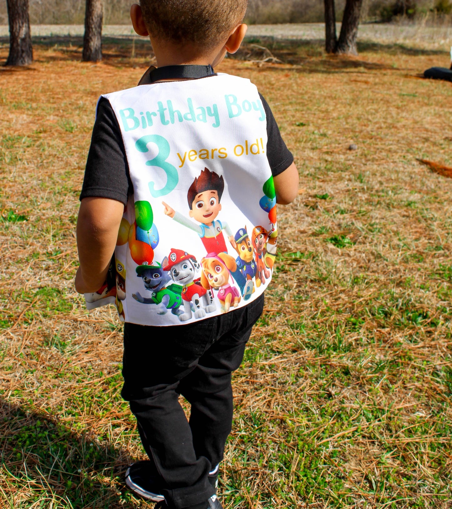 Birthday Vest/Tie image 2